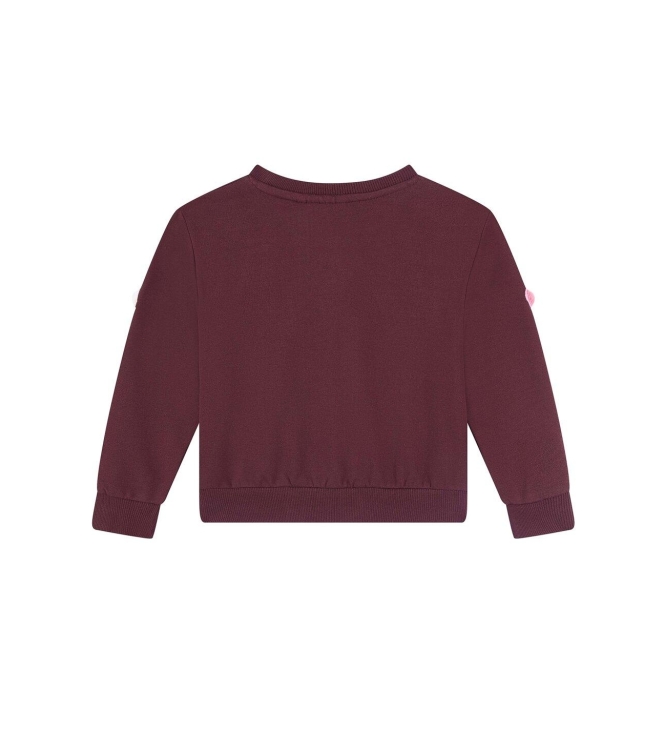 Someone truien Dark Bordeaux SG16.262.100266