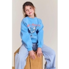 AO76 truien Sky Blue 226-1123-336