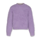 AO76 truien Purple 226-1244-780