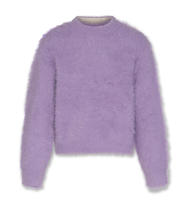 AO76 truien Purple 226-1244-780