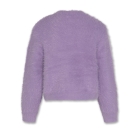 AO76 truien Purple 226-1244-780