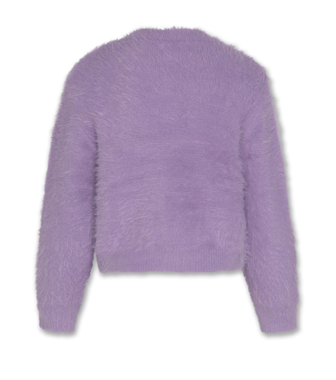 AO76 truien Purple 226-1244-780