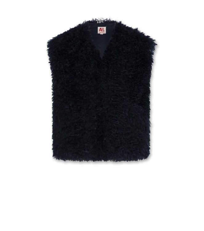 AO76 blazers & gilets Classic Navy 226-1816-870