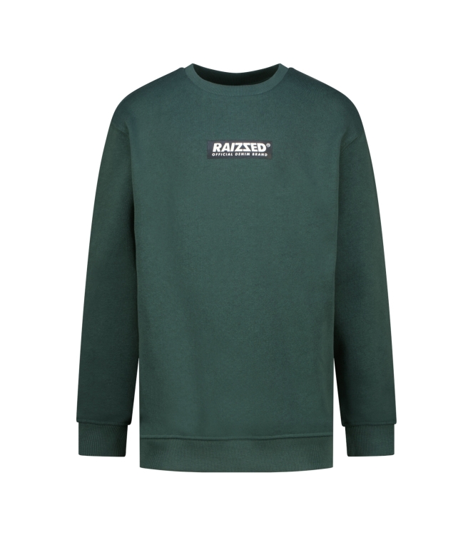 Raizzed truien Dark Green R226KB340098