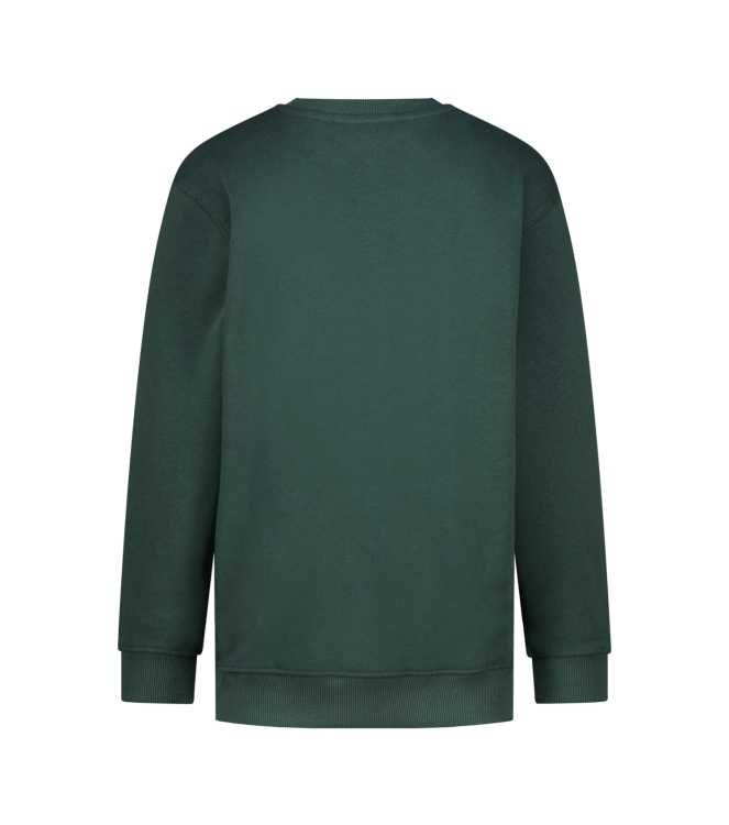 Raizzed truien Dark Green R226KB340098