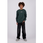 Raizzed truien Dark Green R226KB340098