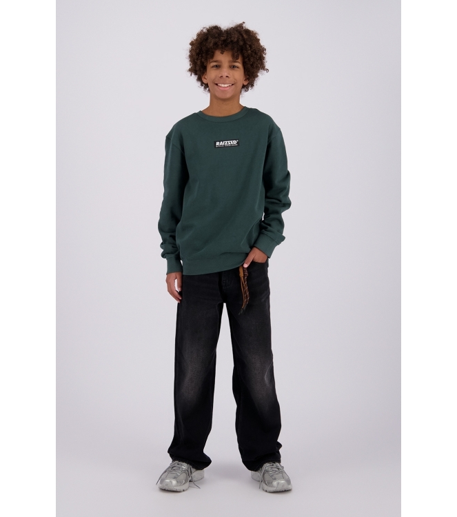 Raizzed truien Dark Green R226KB340098