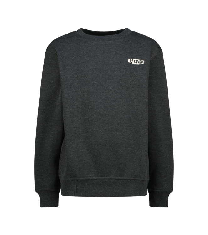 Raizzed truien Dark grey Melange R226KB340100
