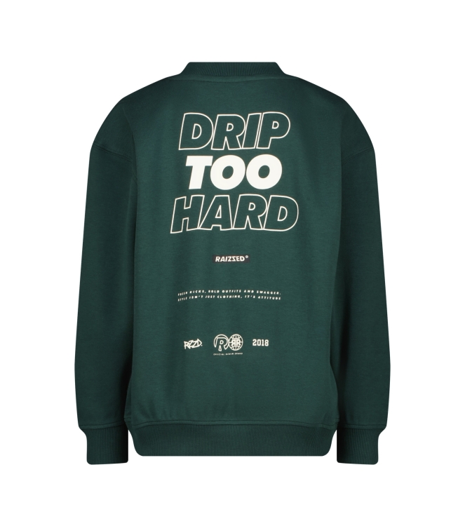 Raizzed truien Dark Green R226KB340101