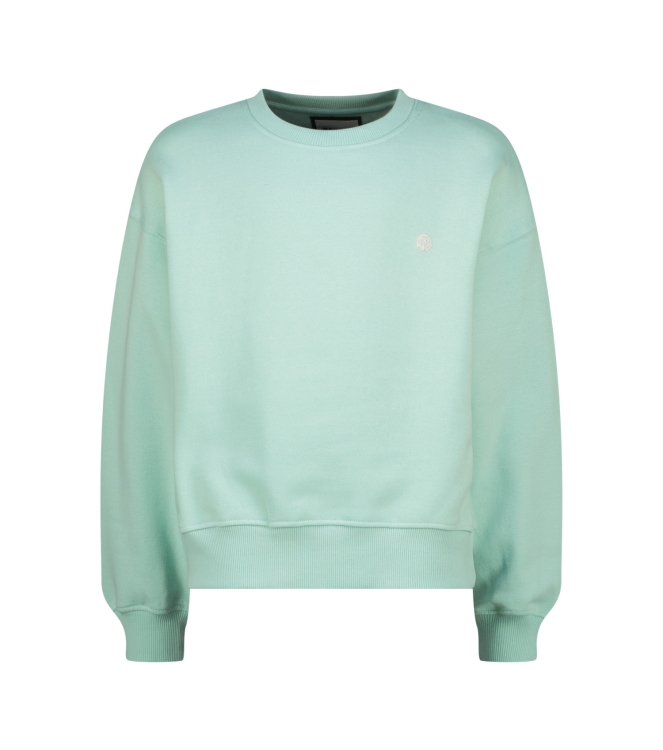 Raizzed truien Light Green Blue R226KG340026
