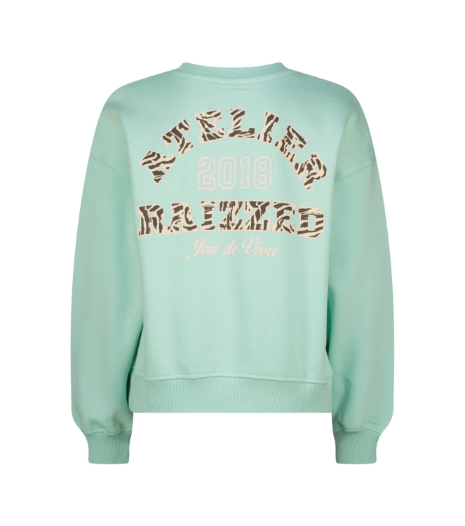 Raizzed truien Light Green Blue R226KG340026