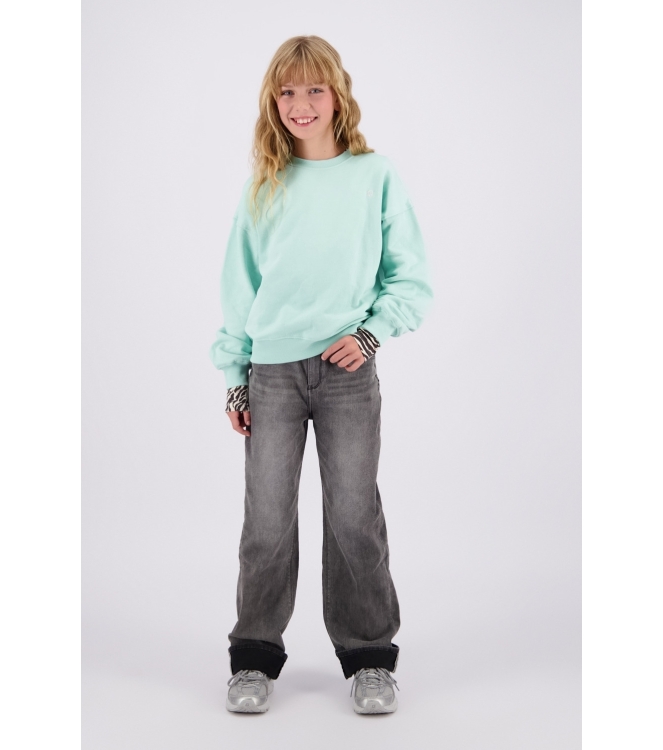 Raizzed truien Light Green Blue R226KG340026