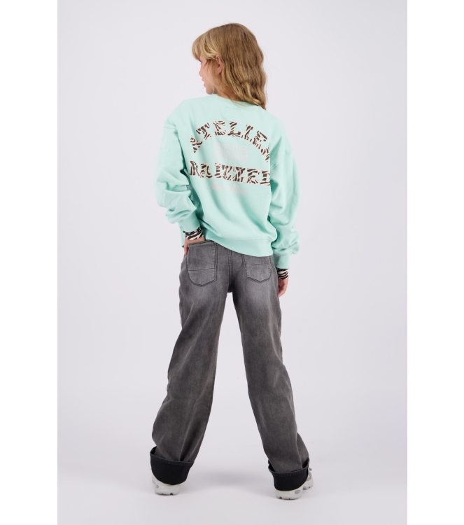 Raizzed truien Light Green Blue R226KG340026