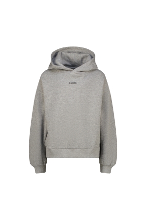 Raizzed Grey Mellange