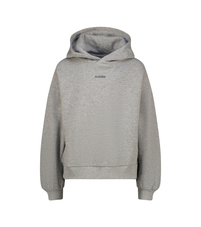 Raizzed truien Grey Mellange R226KG340029