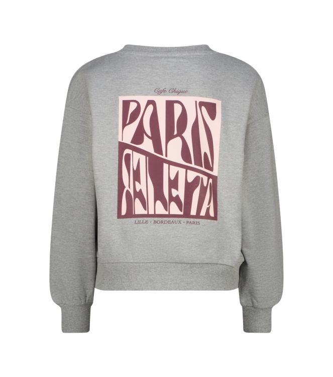 Raizzed truien Grey Melee R226KG340066