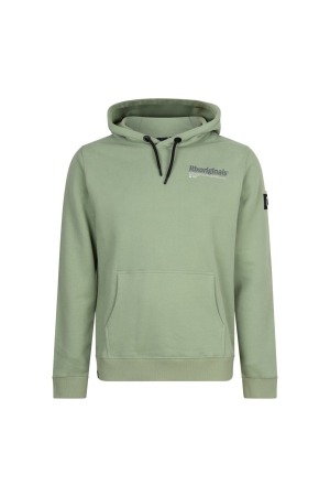 Rellix Hoodie RLX Originals Brushed 9640 Dusty Lime