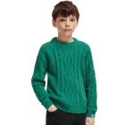 Scotch & Soda Kids truien & vesten 6608 Deep Green 173593