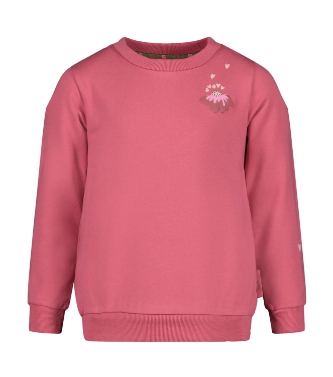 Jubel truien Roze 91600476