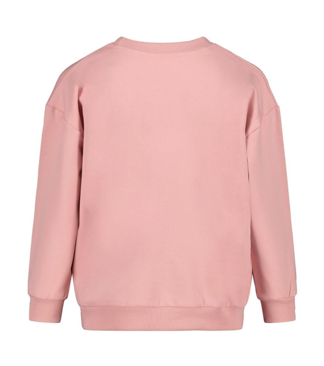 Jubel truien l.Roze 91600477