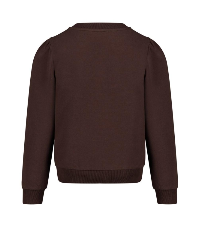 Jubel truien Bruin 91600489