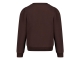 Jubel truien Bruin 91600489