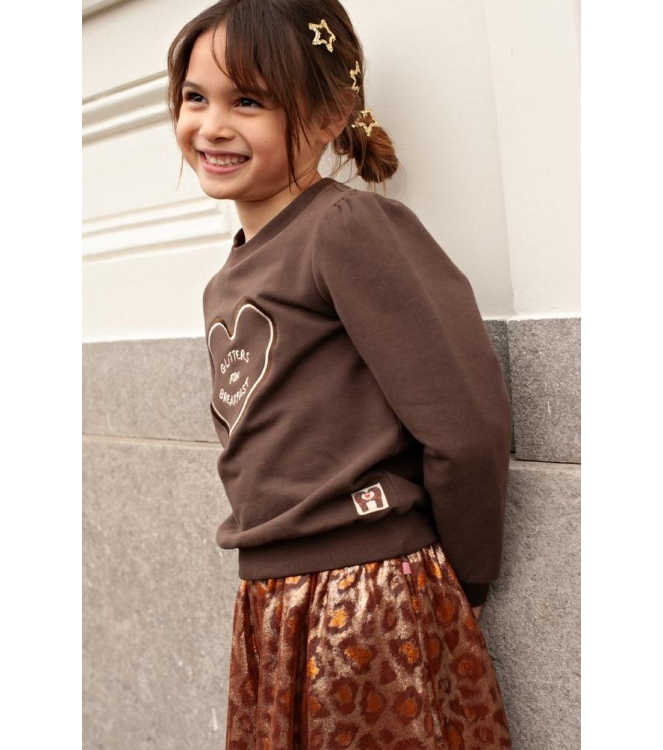 Jubel truien Bruin 91600489