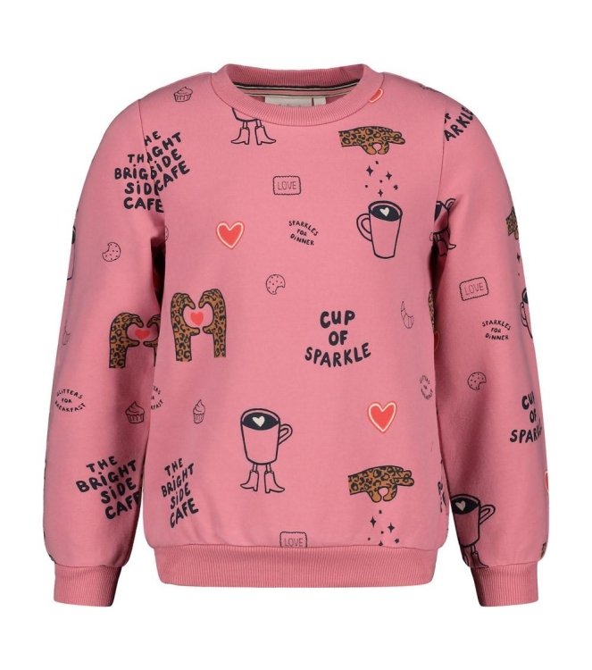 Jubel truien Roze 91600490