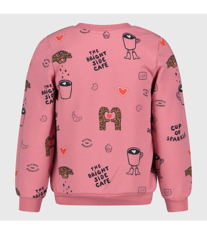 Jubel truien Roze 91600490