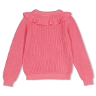 Jubel truien Roze 91600492