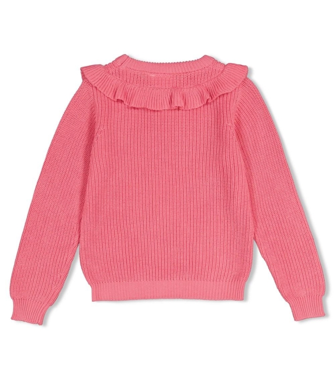 Jubel truien Roze 91600492