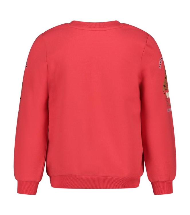 Jubel truien Rood 91600493