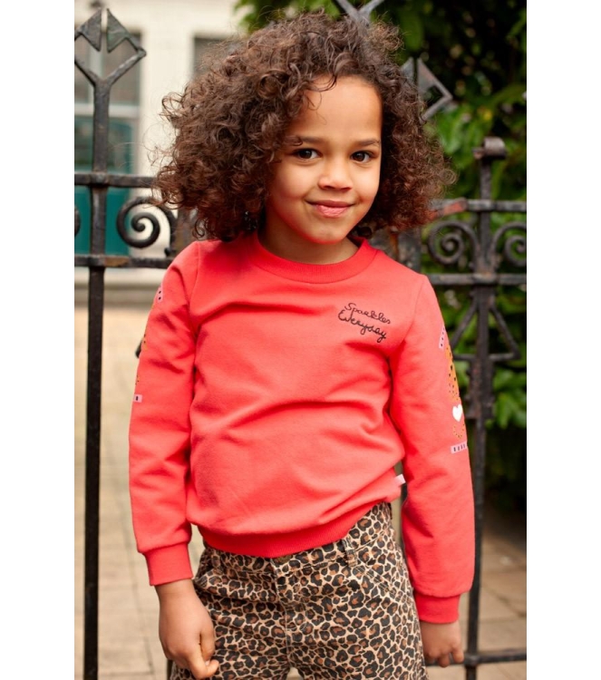 Jubel truien Rood 91600493