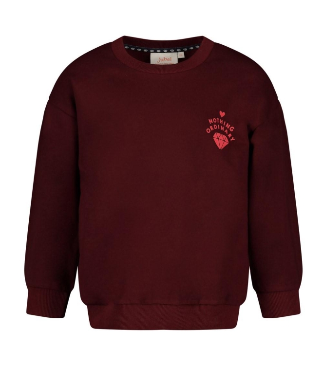 Jubel truien Bordeaux 91600500