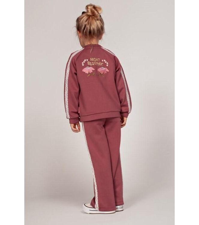 Jubel broeken Mauve 92200521