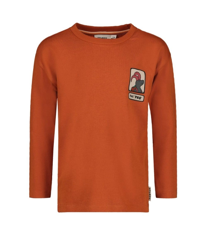 Sturdy shirts Oranje 71600658