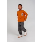 Sturdy shirts Oranje 71600658