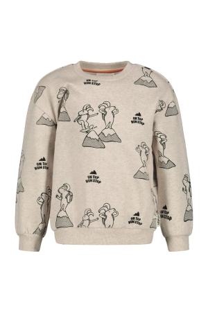 Sturdy Sweater AOP - Mountain top Offwhite melange