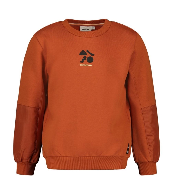 Sturdy truien Oranje 71600662