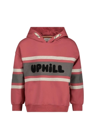 Sturdy Hoodie - Mountain top Rood