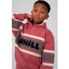 Sturdy truien Rood 71600663