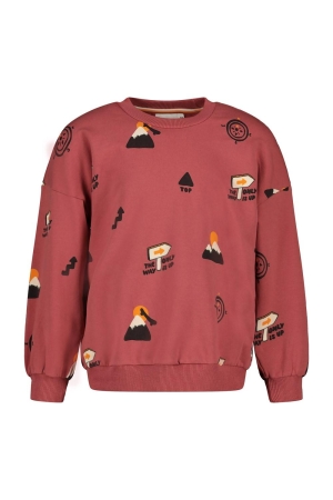 Sturdy Sweater AOP - Mountain top Rood
