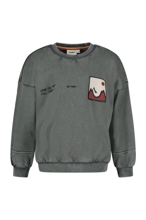 Sturdy Sweater met rugprint - Mountain top Grijs