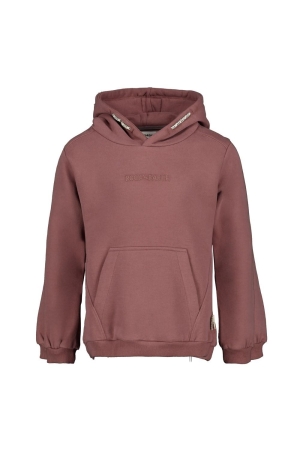 Sturdy Hoodie - Rock the Earth Mauve