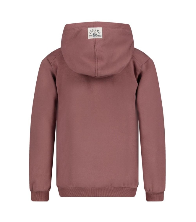 Sturdy truien Mauve 71600677