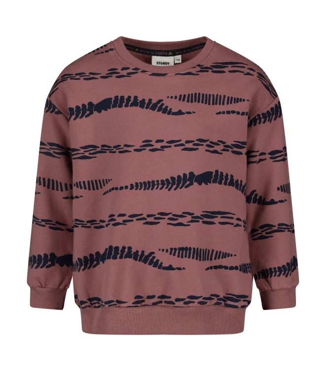 Sturdy truien Mauve 71600678