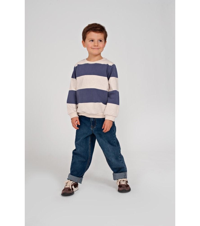 Sturdy truien Blauw 71600679