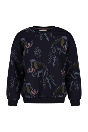 Sturdy Sweater AOP - Rock the Earth d.Blauw