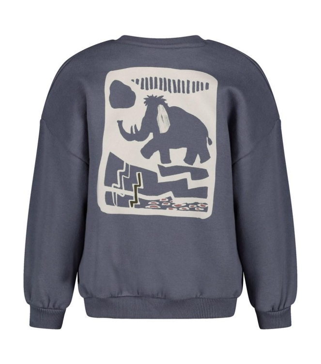 Sturdy truien Blauw 71600682