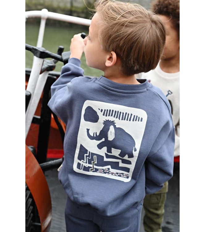 Sturdy truien Blauw 71600682